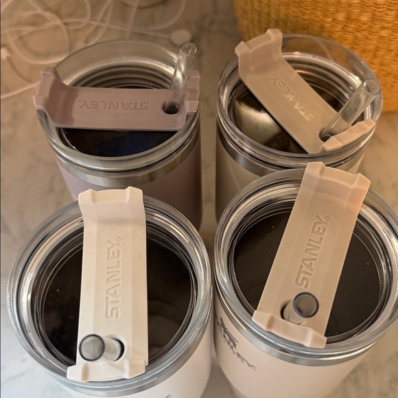 Stanley Tumbler Set in Earthy Hues - Picture 2 of 4